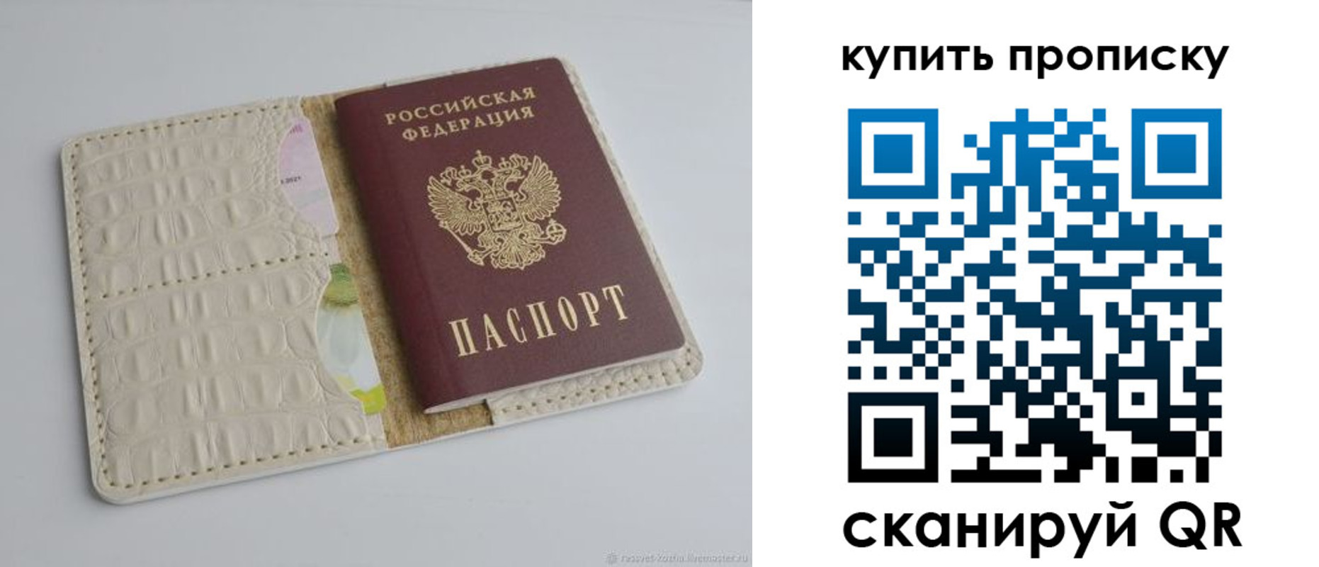 временная регистрация гарантия в Моршанске